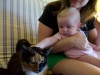 Cats are soft